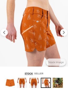 Wild Rye Mountain Bike Shorts Desert Dreams Womens Sz 2